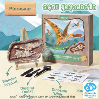 GM Kids (ของแท้พร้อมส่ง 6 - 12 ขวบ) ชุดขุดฟอสซิลไดโนเสาร์ ขุดฟอสซิล Fossil Excavation - Pterosaur (Mideer)