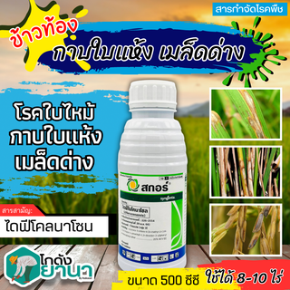 🌾 สกอร์ (ไดฟีโนโคลนาโซล) ขนาด 500ซีซี ป้องกันกำจัดโรคพืชราสนิมขาว