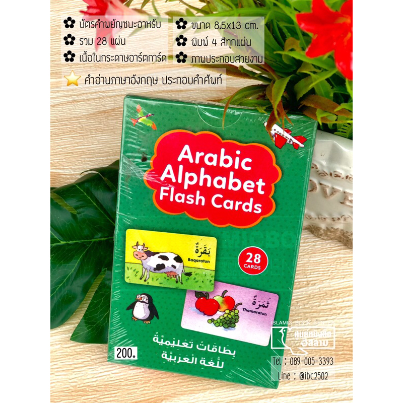 (สินค้านำเข้า) บัตรคำพยัญชนะอาหรับا-ي พร้อมคำศัพท์ภาษาอาหรับ Arabic Alphabet Flash Cards (การ์ดอ่อน 28 แผ่น, พิมพ์ 4 สี)