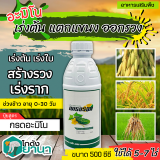 🌾 เมเธอรอล (อะมิโนแอซิด) ขนาด 500ซีซี แตกยอดใหม่ ขยายผล ฟื้นต้น