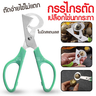 ที่เปิดเปลือกไข่นก ✂️ กรรไกรตัดไข่  กรรไกรตัดเปลือกไข่นกกระทา กรรไกรตัดเปลือกไข่ขนาดเล็ก เครื่องตัดไข่นกกระทา