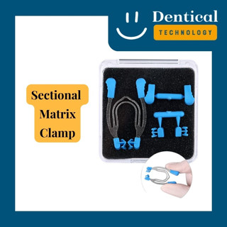 ตัวจับเมทริกซ์ (Sectional Matrix Clamp)