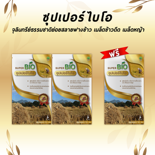 ซุปเปอร์ไบโอ จุลินทรีย์ย่อยสลายฟาง 2แถม1 สูตรเข้มข้น ย่อยตอซัง เมล็ดข้าวดีด ข้าวเด้ง เมล็ดหญ้า ชนิดผง 150 กรัม