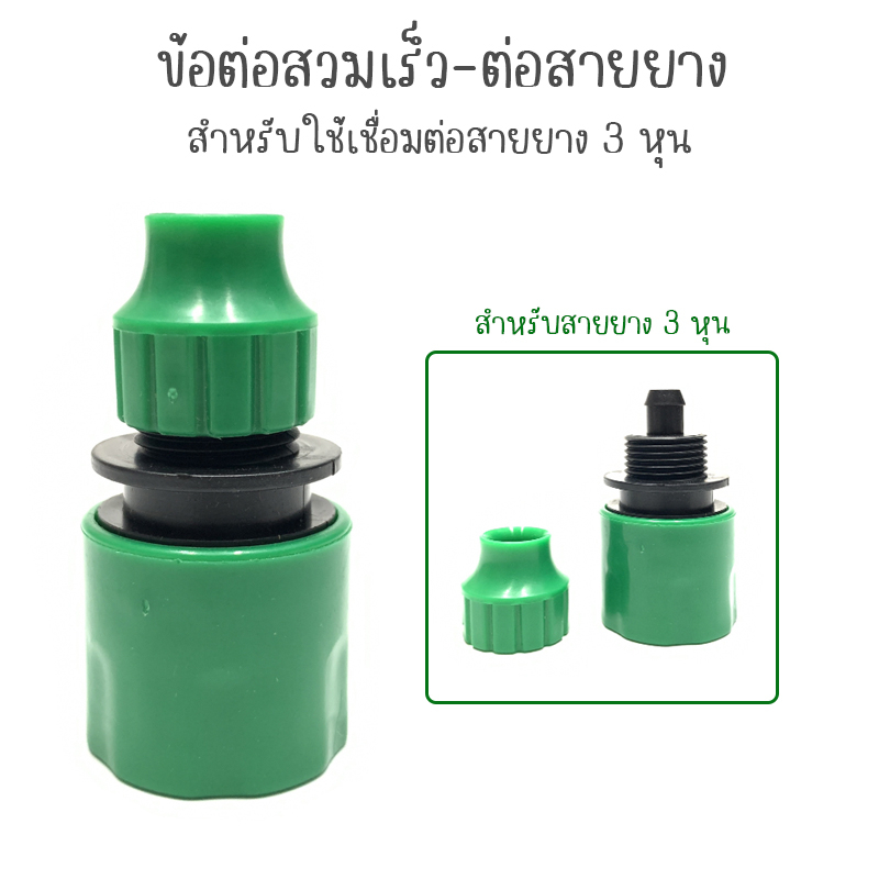 รูปภาพ 8