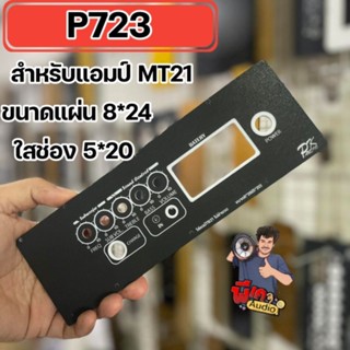 แผ่นเพลทสำหรับแอมป์ MT21