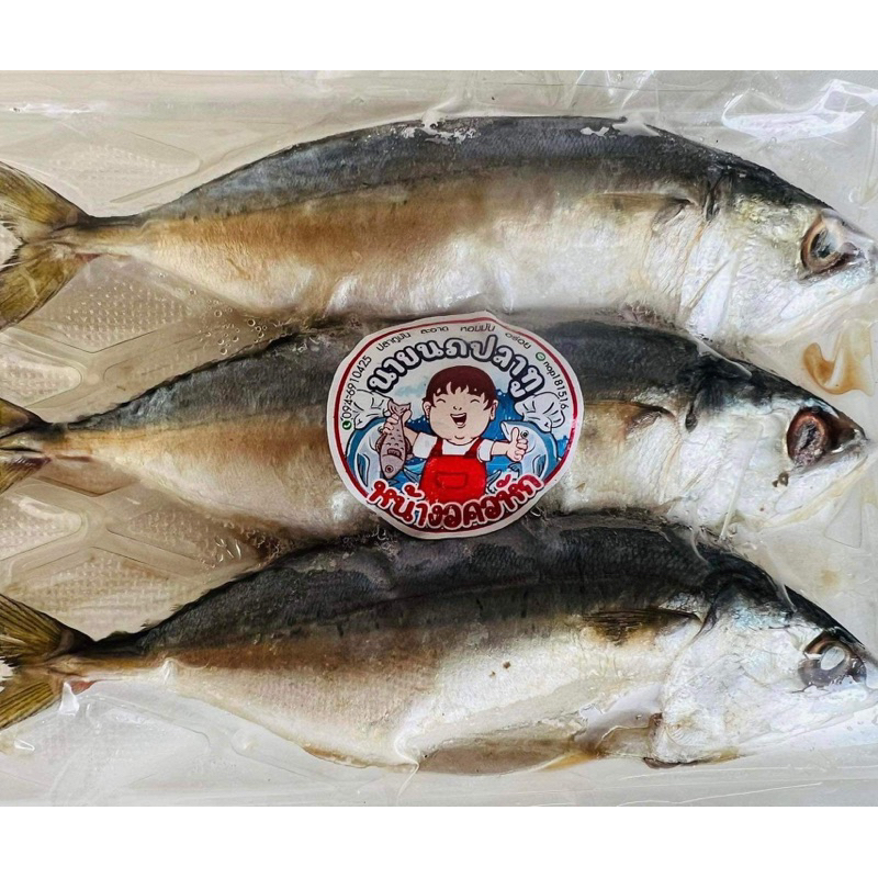 ปลาทูมัน แพ็ค 3 ตัว (เค็มน้อย) น้ำหนักประมาณ 350-370 กรัม สดสะอาด อร่อย
