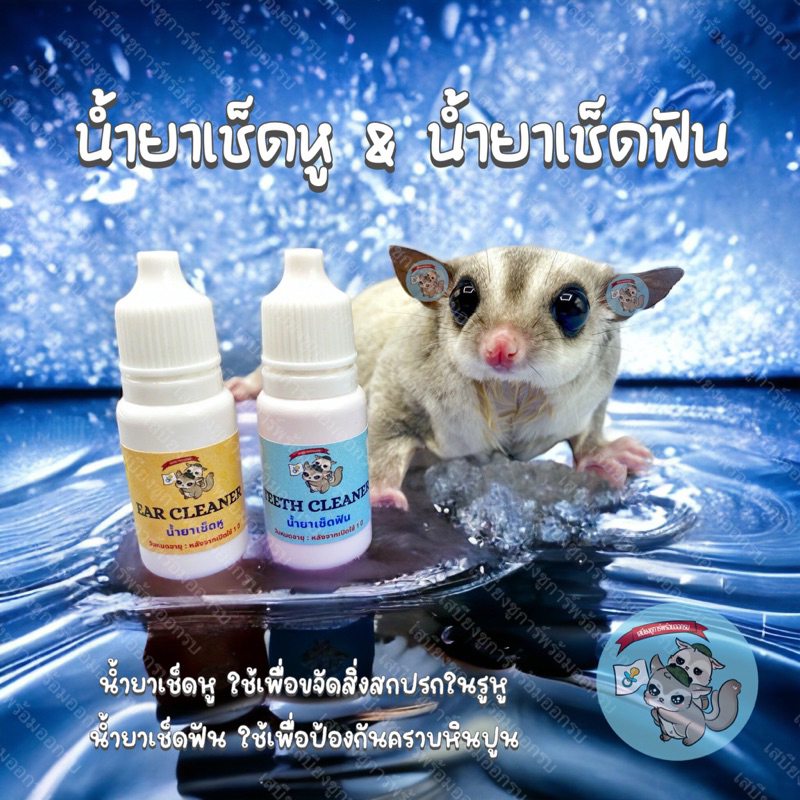 V ( น้ำยาเช็ดหู & น้ำยาเช็ดฟัน ) เช็ดหู เช็ดฟัน หู แปรงฟัน ยาสีฟัน ชูการ์ กระรอก สัตว์เล็ก ดอร์เมาส์ แฮมสเตอร์
