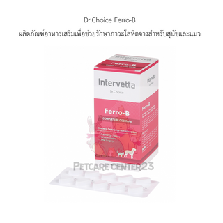 Dr.Choice Ferro-B ผลิตภัณฑ์อาหารเสริมเพื่อช่วยรักษาภาวะโลหิตจางสำหรับสุนัขและแมว 100 เม็ด