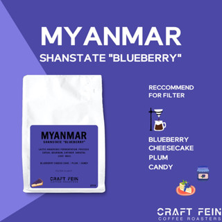 เมล็ดกาแฟ Myanmar Shanstate “Blueberry”  ขนาด 100 - 200 กรัม  |  CRAFT FEIN