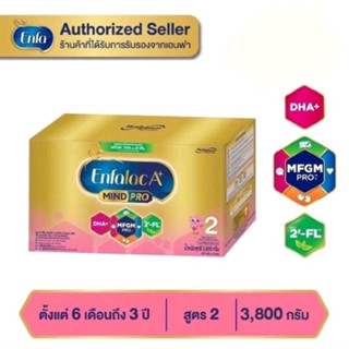 นม เอนฟาแล็ค เอพลัส มายด์โปร ดีเอชเอ พลัส เอ็มเอฟจีเอ็ม โปร 2 วิท ทู-เอฟแอล นมผง เด็ก นม enfa สูตร2 3800 กรัม