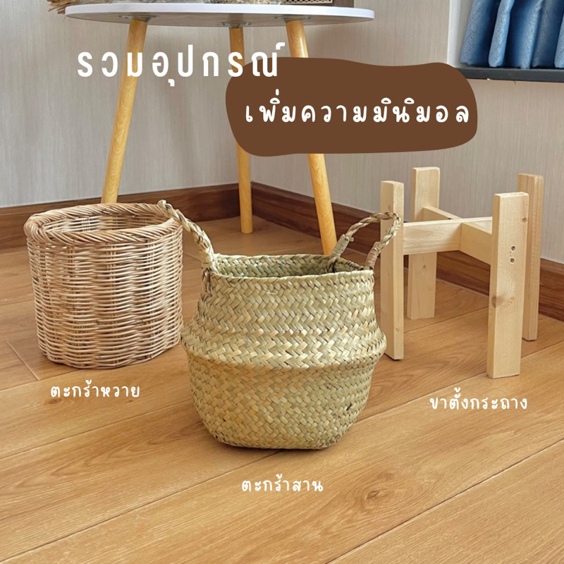 ((รวมอุปกรณ์)) เพิ่มความมินิมอล สินค้าตกแต่งบ้านสไตล์มินิมอล เพิ่มความน่ารักให้กับต้นไม้ของคุณด้วยอุปกรณ์ต่างๆ