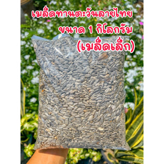 เมล็ดทานตะวัน ลายไทย