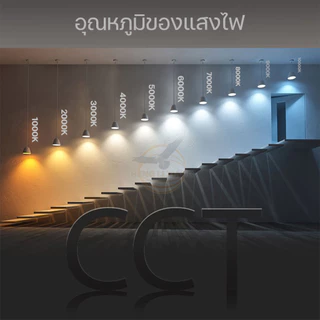 หลอดไฟ LED แสงไฟสีขาว แสงวอร์มไวท์ ทรงกระบอก ขั้ว E27 Bulb หลอดไฟบ้าน แสงเหลือง LS 85W 65W 55W 45W