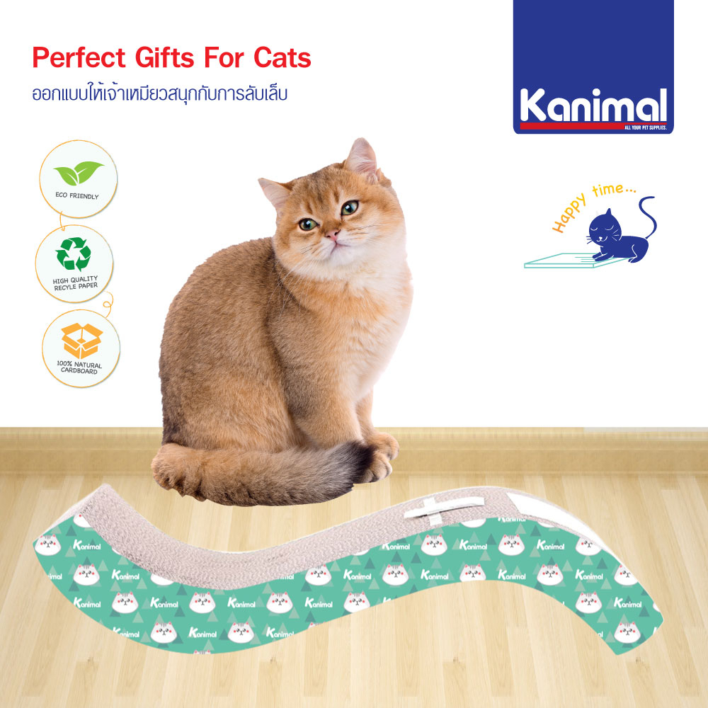 [CS-1010] Kanimal Cat Toy ของเล่นแมว ที่ข่วนเล็บแมว รุ่น Surf คลื่นใหญ่ Size L ขนาด 53.5x21x10 ซม. แถมฟรี! Catnip