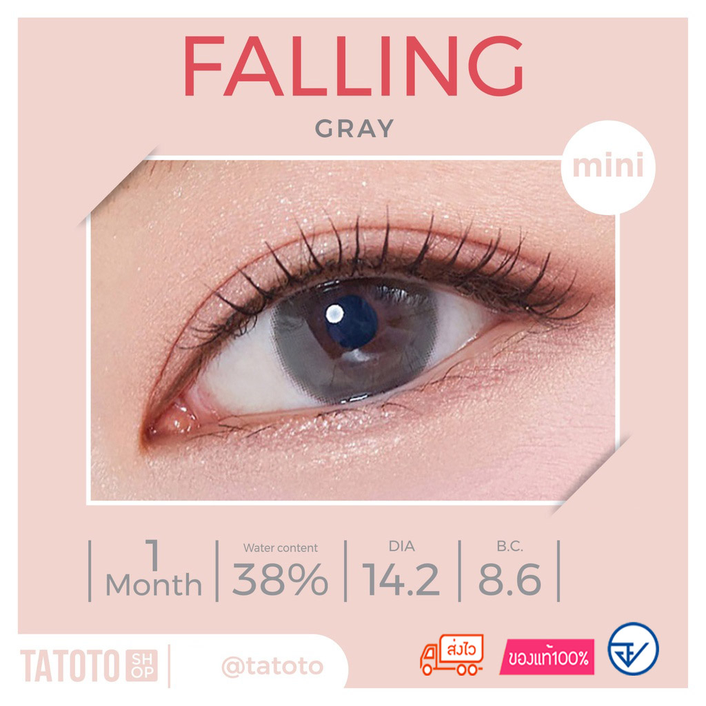 คอนแทคเลนส์สี ใส่สบาย ไม่แสบตา │ อย.ไทย │ ส่งจากไทย │รุ่นfalling Gray - รูปที่ 5