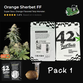เมล็ดกัญชา Orange Sherbet FF (Fast) - Fastbuds แพ็ค1เมล็ด