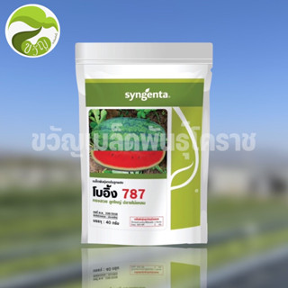 เมล็ดพันธุ์แตงโม โบอิ้ง 787 ตรา syngenta