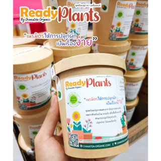 ชุดพร้อมปลูก Ready Plants™ ผักสวนครัวและดอกไม้ ปลูกง่าย สะดวก พร้อมอุปกรณ์ปลูกครบครัน