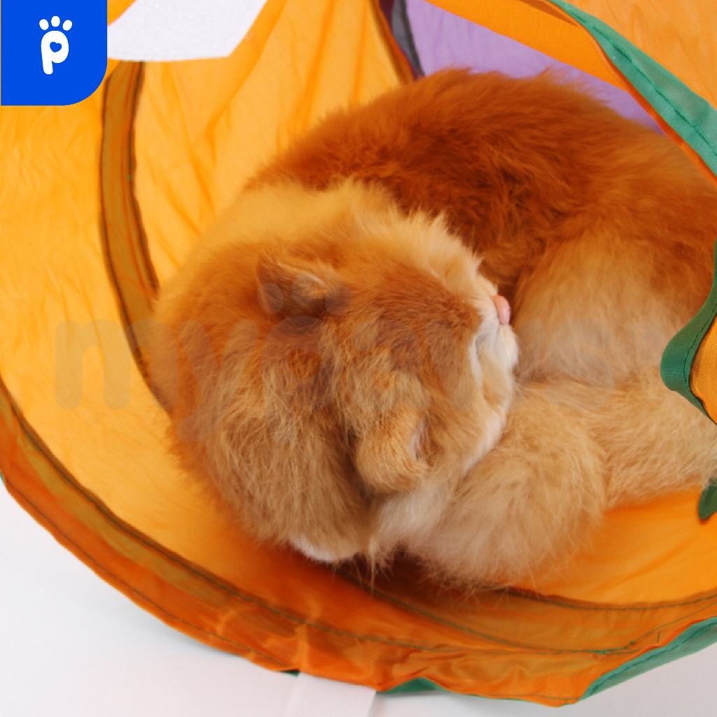 My Paws ของเล่นแมวอุโมงค์ สำหรับแมวหรือสัตว์ขนาดใหญ่ อุโมงค์แมว พับได้ - รูปที่ 7