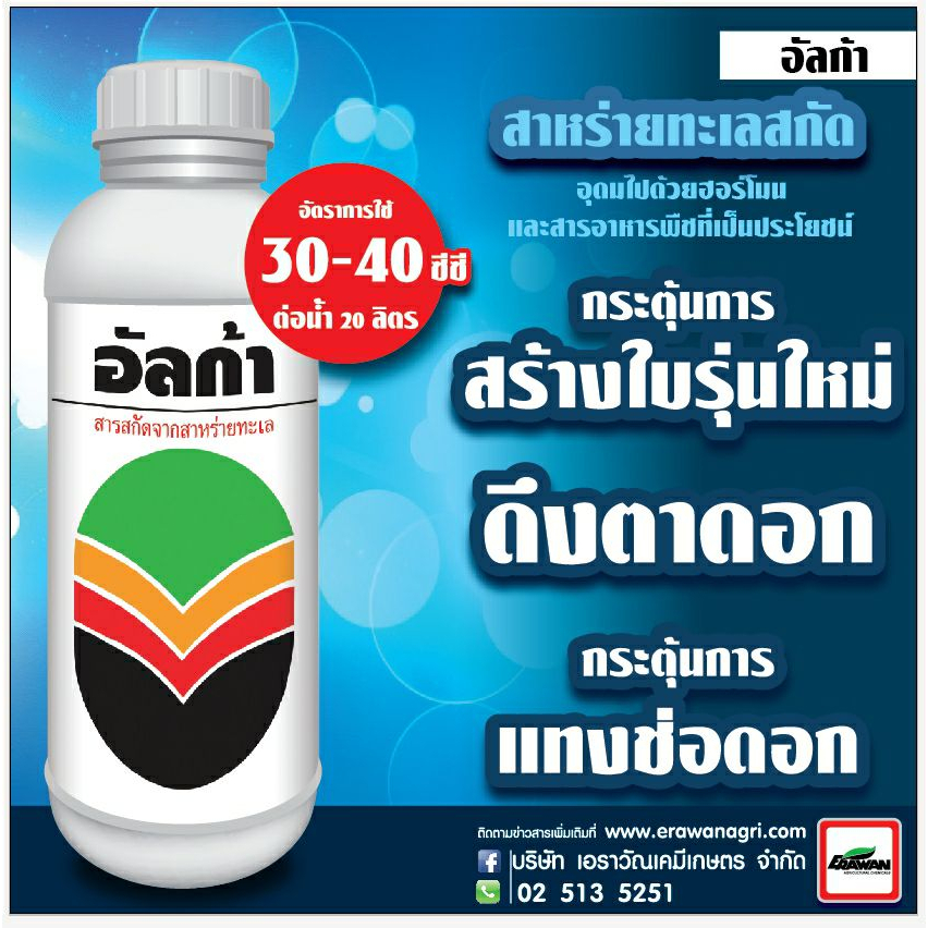 อัลก้า สาหร่ายทะเลสกัด ตระกูล Fucus บริสุทธิ์แท้ๆ เร่งใบอ่อนให้ เขียวเร็ว ขนาด 1 ลิตร