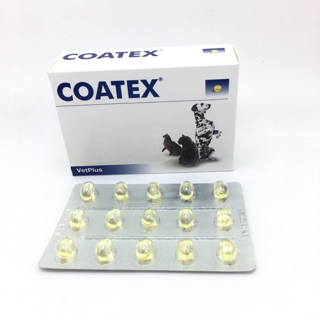 Coatex 60 Capsules ยกกล่องใหญ่มี4กล่องย่อย วิตามินบำรุงขนและผิวหนังสุนัขและแมว