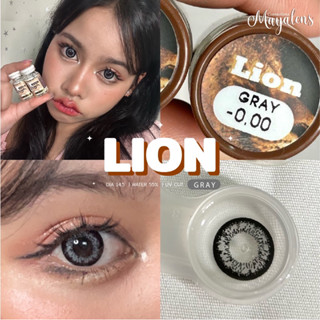 Lion gray รุ่นเทาตัดขอบตาโต mayalens