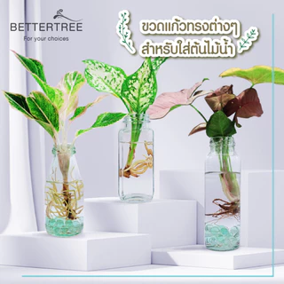 ขวดแก้ว ใส่ต้นไม้เลี้ยงน้ำ แจกันมินอมอล แจกันแก้ว vase