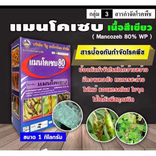 กล่องม่วง-แมนโคเซบ ( เนื้อสีเขียว )( 1 กิโลกรัม ) แมนโคเซป สารป้องกัน-กำจัดเชื้อรา โรคพืชต่าง ๆ ได้มากมาย มีความคงตัว