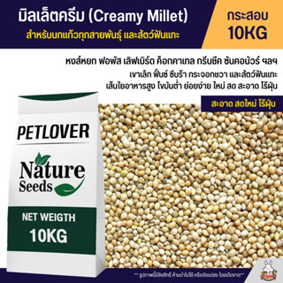 (10KG) มิลเล็ตครีม Creamy Millet เกรด A อาหารนกแก้ว และสัตว์ฟันแทะ สะอาด ร่อนฝุ่นทุกถุง