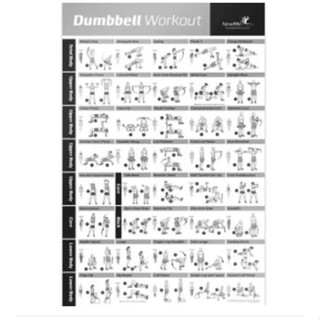 NewMe Fitness : NMF5173457* โปสเตอร์ท่าออกกำลังกายด้วยดัมเบล Dumbbell Workout Exercise Poster