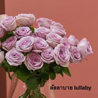 กุหลาบ - ลัลลาบาย Lullaby