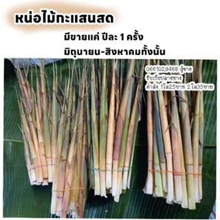 🎋หน่อไม้กะแสนสด ขายถึงเดือน❌สิงหาคม2566❌เท่านั้น