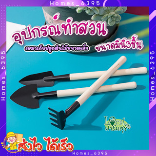 อุปกรณ์ปลูกต้นไม้ ขนาดเล็กมินิ 3ชิ้น 🌵 ชุดอุปกรณ์การปลูก สำหรับต้นไม้ขนาดเล็ก แคคตัส กระบอกระบองเพชร ฯลฯ Homes_6395