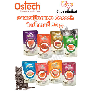 Ostech cat lover อาหารเปียกแมวในน้ำเกรวี่ 70 g.