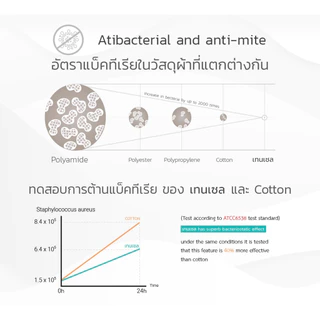 Snow owl Gentle FlowZz หมอนหลุมระบายอากาศสำหรับเด็ก พร้อมปลอกหมอนจากใยไผ่ 100% ลายสุดน่ารัก