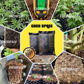 วัสดุปลูกโคโค่ COCO SPACE วัสดุปลูกกัญชาคุณภาพสูง [Quality soilless planting material] ขนาด 5 ลิตร