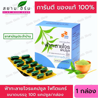 Phyto Care ฟ้าทะลายโจร 60/100 แคปซูล [ผลิตภัณฑ์สมุนไพรขายทั่วไป] [ยาสามัญประจำบ้าน]