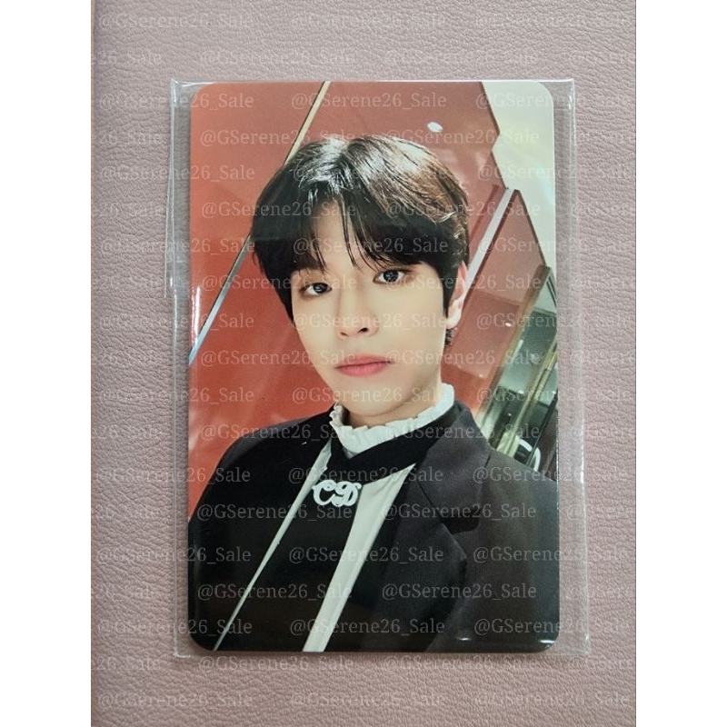 SEUNGMIN STRAYKIDS STAY IN STAY IN JEJU POB
