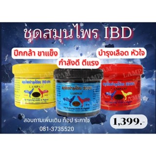 LAMPAM ลำปำ ชุด IBD (ชุดไอบีดี) กระปุกใหญ่