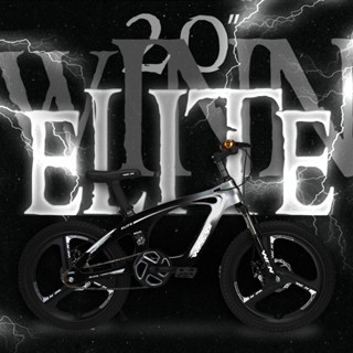 จักรยานเสือภูเขาเด็ก 20นิ้ว WINN Elite เฟรมแม็กนิเซียม ไร้รอยต่อ สายซ่อนเฟรม โช็คหน้า ดิสเบรค ล้อแม็ก 3ก้าน