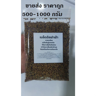 เมล็ดพันธุ์ อัลฟัลฟา 1000 กรัม Alfalfa seeds เมล็ดใหม่คัดพิเศษ