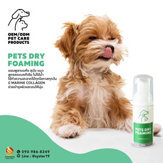 Pets dry foaming - syster19