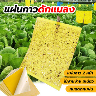 แผ่นกาวดักแมลง สีเหลือง 20x25 ซม. กาวเหนียว 2 ด้าน สำหรับดักแมลงวันทอง แมลงต่างๆ เพลี้ยในสวน ไร่ นา โรงเรือน