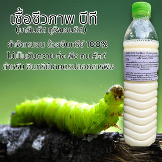 หัวเชื้อ เชื้อบีที , BT สำหรับ กำจัดและป้องกัน หนอนศัตรูพืช