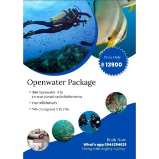 OPEN WATER COURSE ( PADI ) เรียนดำน้ำลึกหลักสูตรเบื้องต้น รวมที่พัก และ ช่างภาพใต้น้ำส่วนตัว