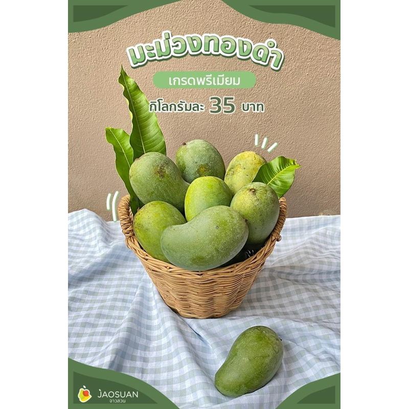 มะม่วงทองดำ 3 กิโล 90 บาท โดยจาวสวน