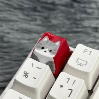 OEM keycap แมวสลิดขาวเทา