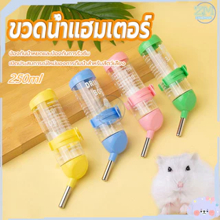 ขวดน้ำแฮมเตอร์ 250ml ที่ให้น้ำแบบแขวนกรง ขวดน้ำสัตว์เลี้ยง​ ขวดน้ำกระต่าย แบบติดกรง บรรจุน้ำได้