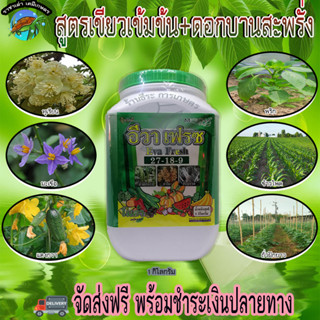 อีวาเฟรซ 27-18-9 1กิโลกรัม ช่วยเร่งพืชต้นไม่โต ขยายลำต้นให้อวบใหญ่ ใบเขียวเข้มสมบูรณ์ เปิดตาดอก เปิดตากิ่ง ราชาเต่าเกษตร