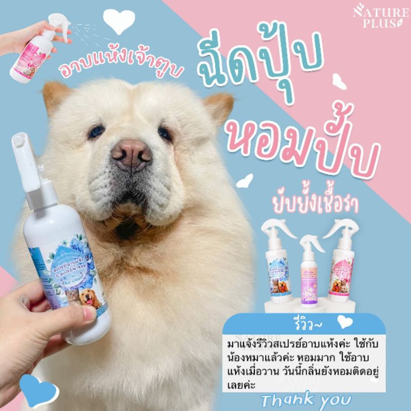 สเปรย์อาบแห้งและสเปรย์น้ำหอมสุนัข แมว ดับกลิ่นเหม็น เพิ่มความหอม ลดคัน เกา